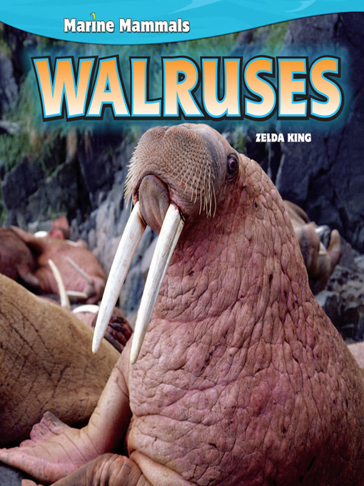 Title details for Walruses by Zelda King - Available